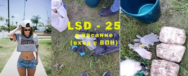 PSILOCYBIN Бронницы