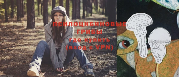 PSILOCYBIN Бронницы