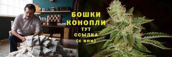 PSILOCYBIN Бронницы