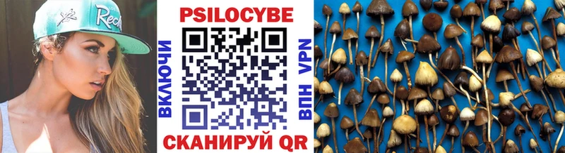Псилоцибиновые грибы мицелий Пермь